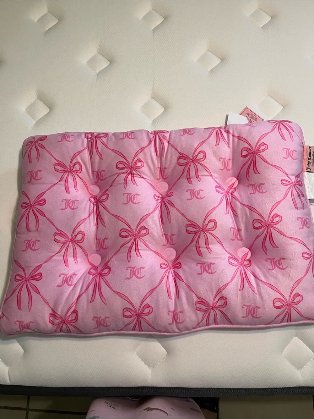 Juicy Couture Pink Velour Pet Bed Crate Mat